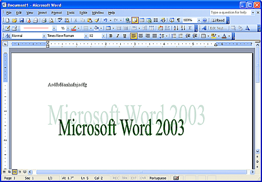 Office2003_03