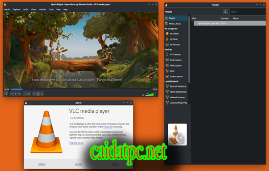 VLC Media Player